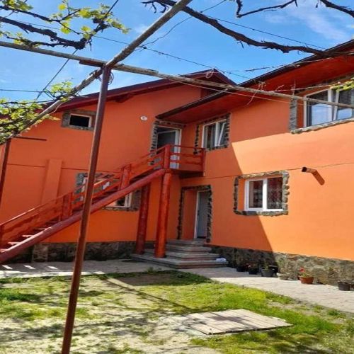 Casa Alex Cârţişoara
