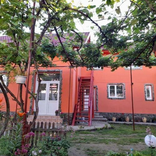 Casa Alex Cârţişoara – Cârţişoara, România