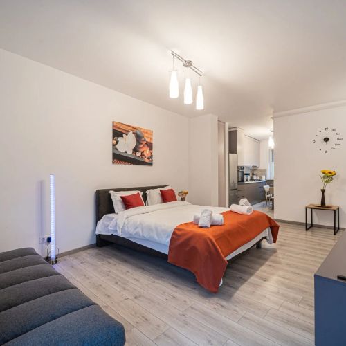 Luxury Old Town Apartment in a New Building Cluj-Napoca