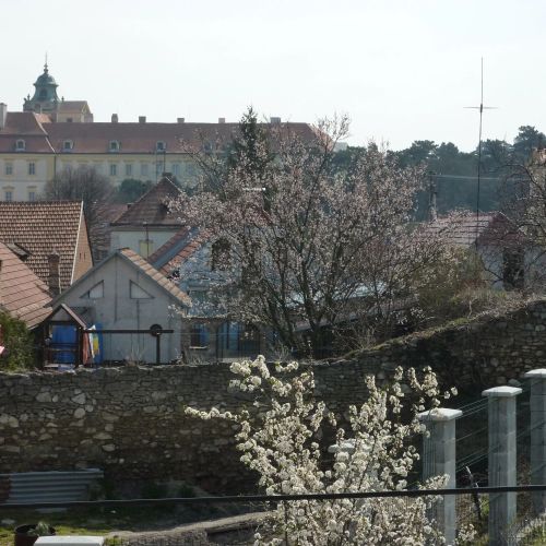 Penzion ČECH Valtice – Valtice, Česká republika
