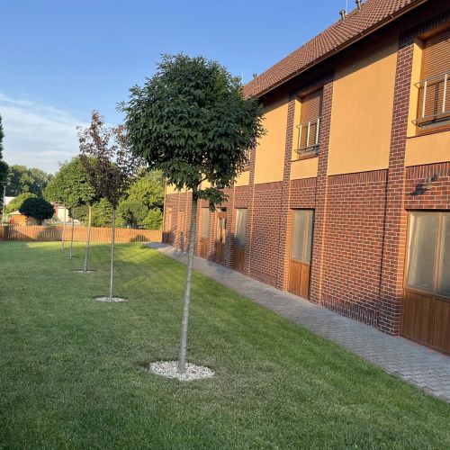 Nagy-Szemes Vendégház Villány