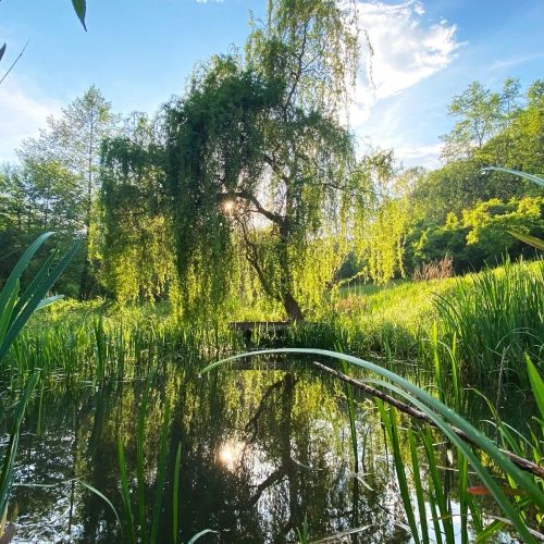 Bükki Park Apartman Sály – Sály, Ungaria