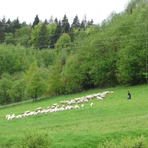 Pokoje W Górskim  Zaciszu Muszyna