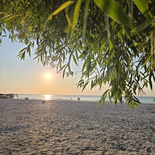 Apartament Your Escape To The Beach Năvodari