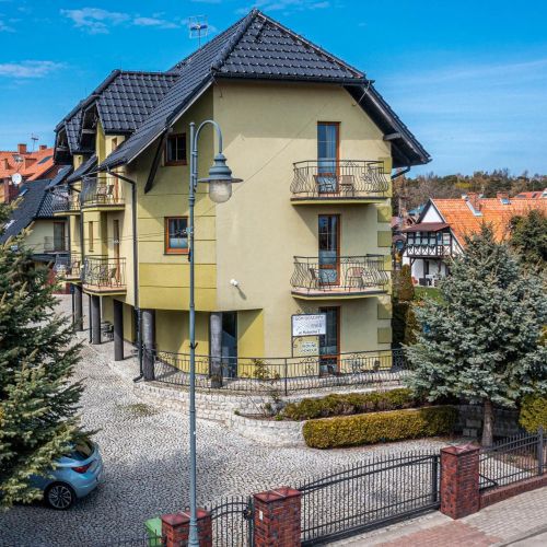 Mewa Krynica Morska