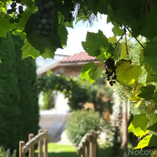 Pensjonacik Pisz – Pisz, Polonia