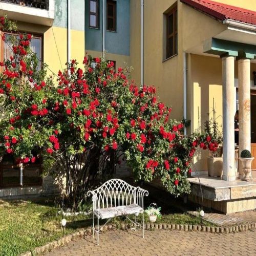  Pensiunea Casa Traiana Alba Iulia – Alba Iulia, România
