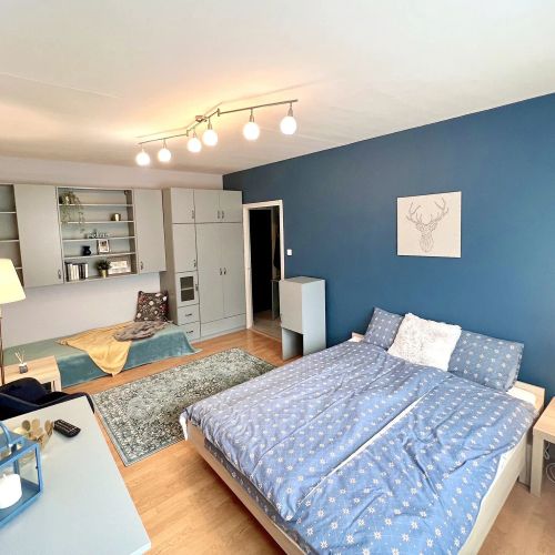 Pille Apartment Szeged
