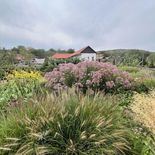 Béri Birtok Bér – Bér, Ungaria