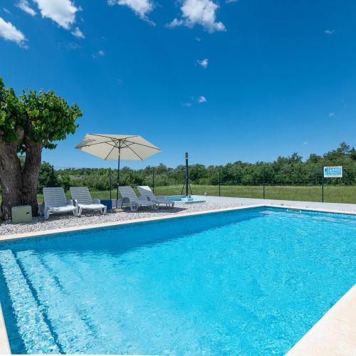Family-friendly Apartments With Swimming Pool Cancini, Poreč - 24335 Cancini