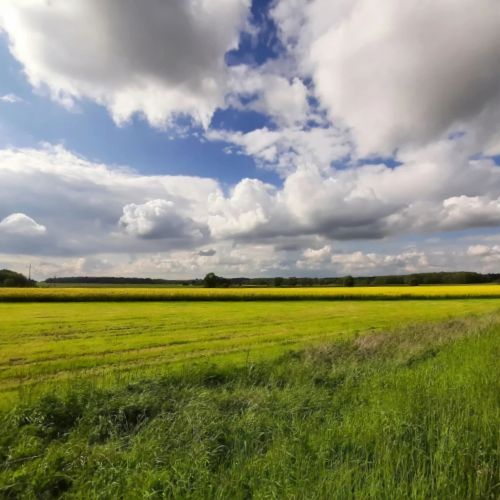Nasze Podlasie