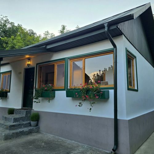 Casa Vintila Green Retreat Petrăchești