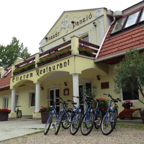 Huszár Panzió és Étterem Sárospatak – Sárospatak, Ungaria