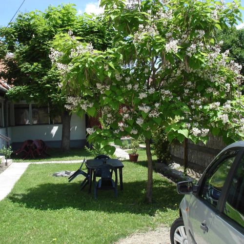 Rózsa Apartman Gyula – Gyula, Węgry
