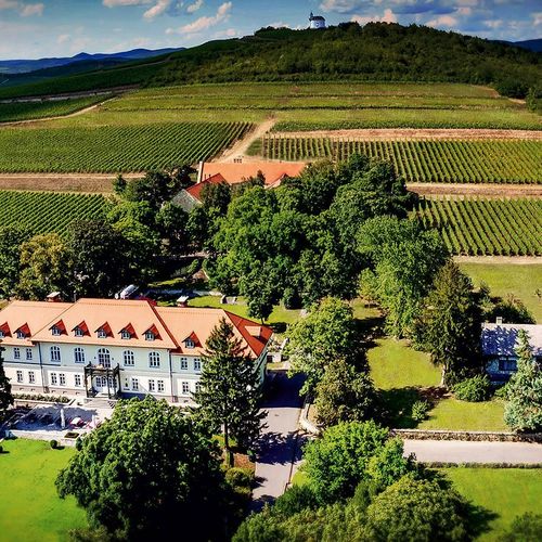 Gróf Degenfeld Kastélyszálló Superior Tarcal