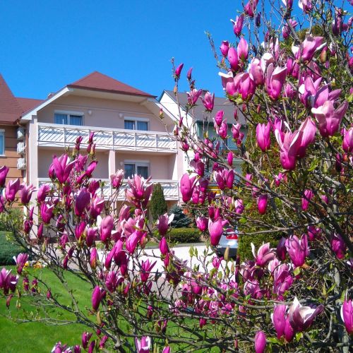 Klára Villa Hévíz – Hévíz, Ungaria