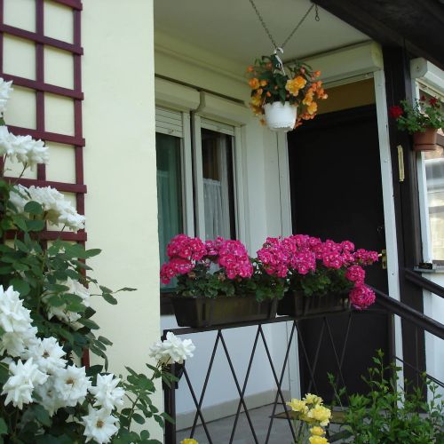 Liza Apartman Gyula