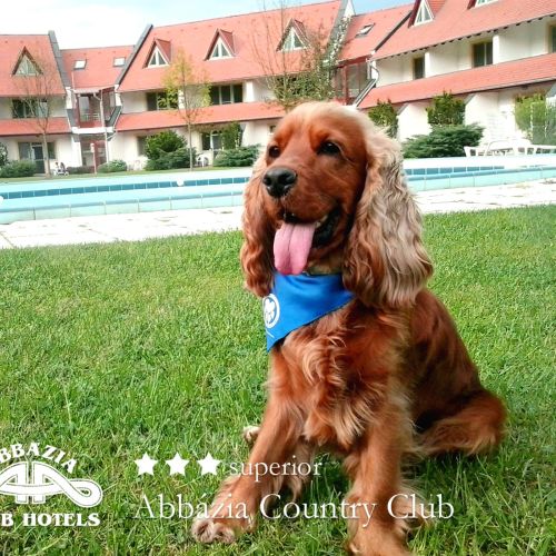 Abbázia Country Club Nemesnép – Nemesnép, Ungaria