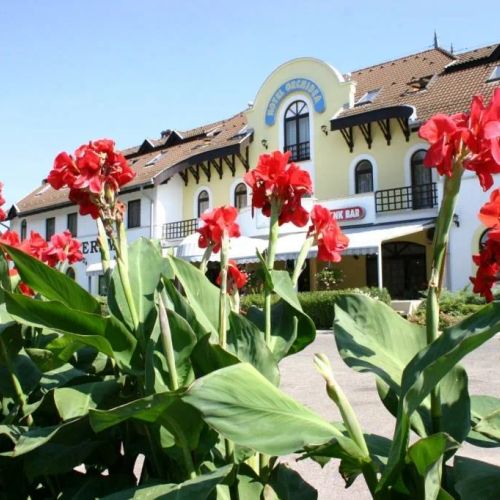 Hotel Orchidea Balástya – Balástya, Ungaria