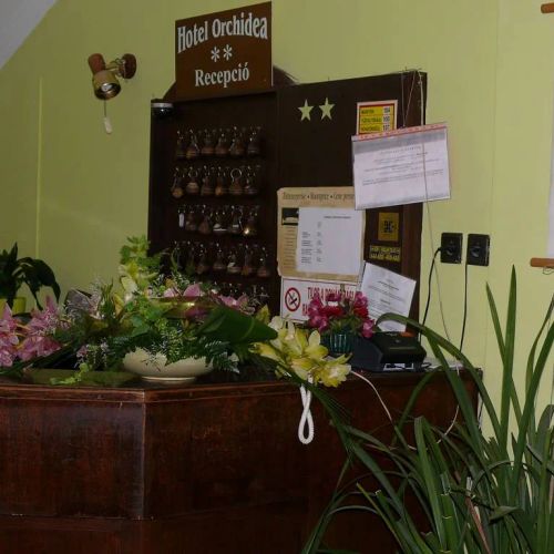 Hotel Orchidea Balástya – Balástya, Ungaria
