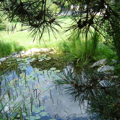 Vadgesztenye Panzió Magyaregregy – Magyaregregy, Węgry