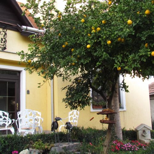 Torkolat Panzió Tokaj