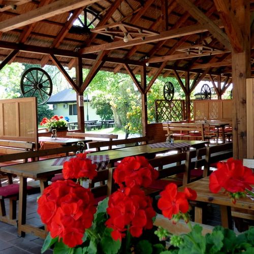 Balaton Eldorado Camping Badacsonylábdihegy