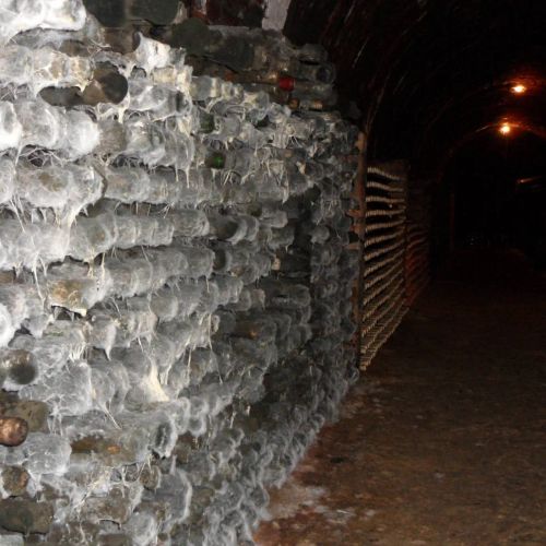 Novák Pince Vendégfogadó Szigetvár