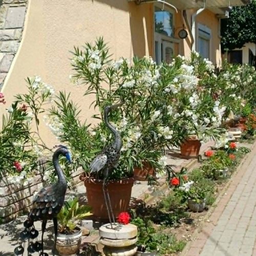 Pál Ház Abádszalók – Abádszalók, Ungaria