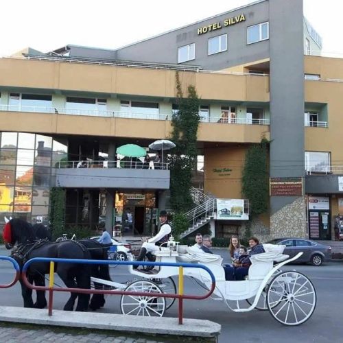 Hotel Silva Vatra Dornei