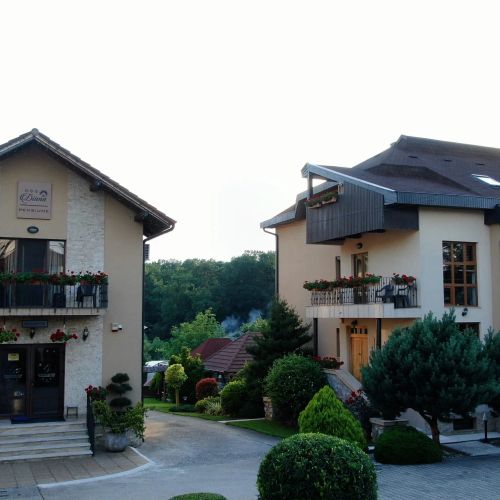 Pensiunea Diana Băile Felix – Băile Felix, România
