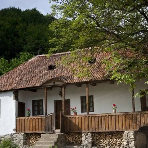 Pensiune Turistică The King's Retreat Valea Zălanului
