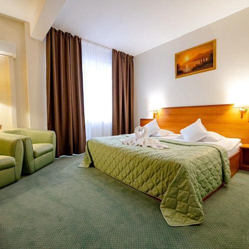 Hotel Rivulus Baia Mare