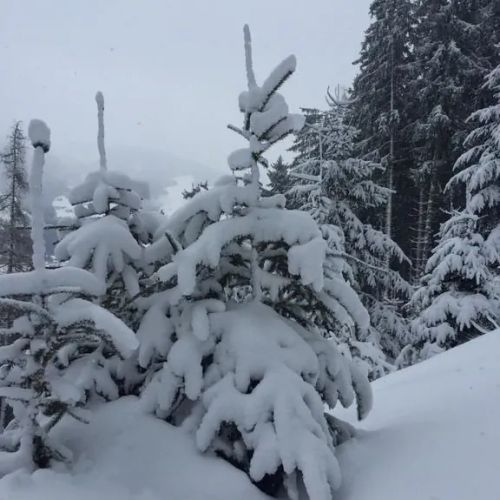 Kramerhaus Hollersbach – Hollersbach im Pinzgau, Austria
