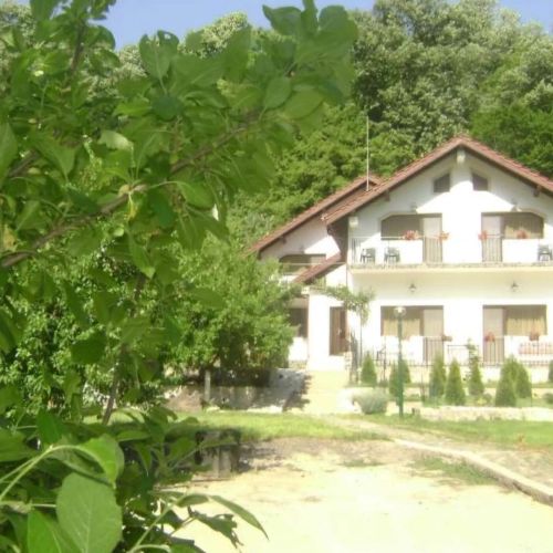 Pensiunea Casa Natura Băile Herculane