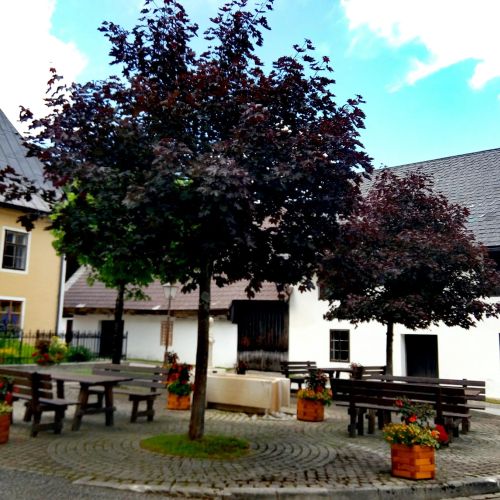 Pension Zur Post Lackenhof – Lackenhof, Austria