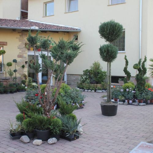 Szépkert Vendégház Szekszárd – Szekszárd, Maďarsko