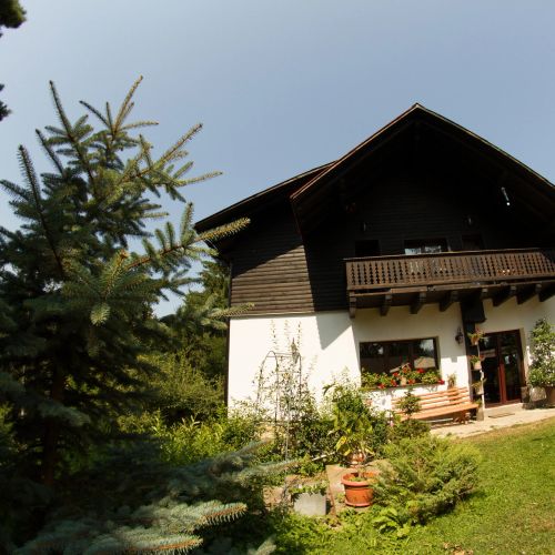 Cabana Ionela Vama – Vama, România