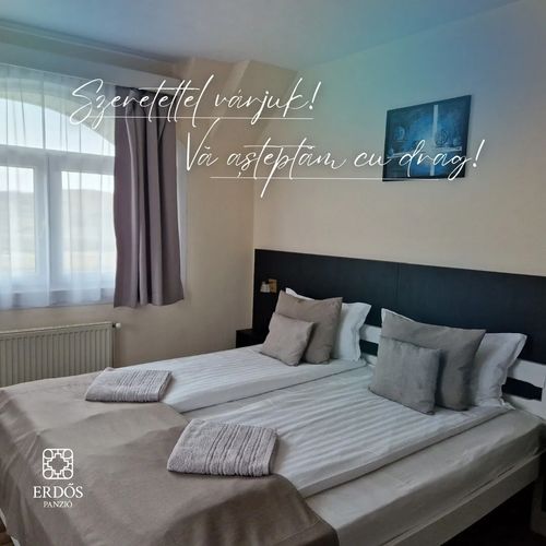 Pensiunea Erdős Ditrău