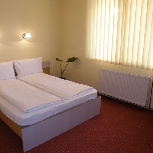 Pensiunea Beverly Hills Băile Felix