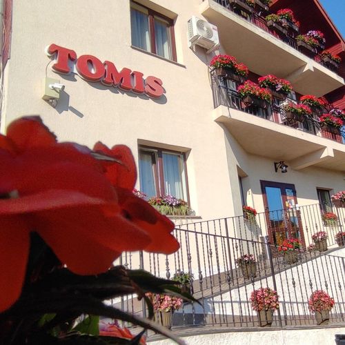 Pensiunea Tomis Băile Felix