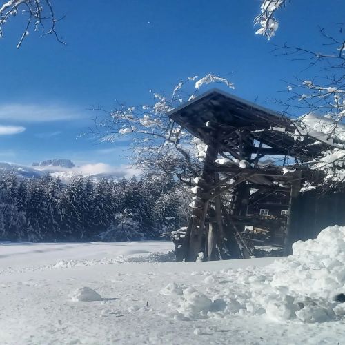 Ferienhaus Waldhof Hermagor-Pressegger See – Hermagor-Pressegger See, Austria