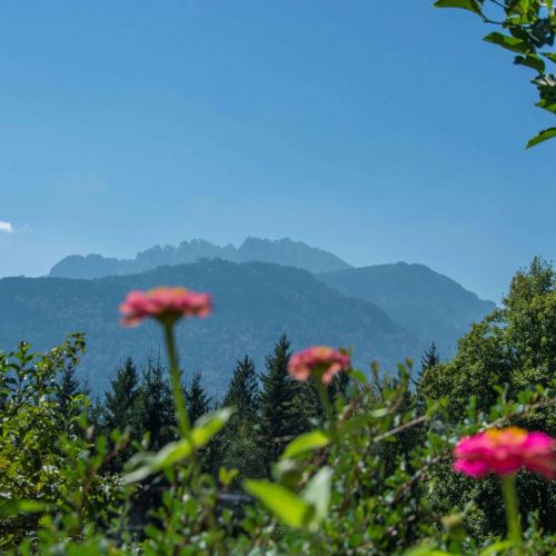 Ferienhaus Waldhof Hermagor-Pressegger See – Hermagor-Pressegger See, Austria