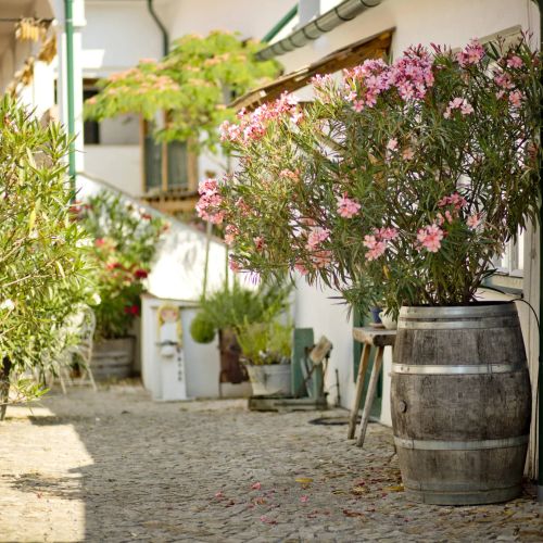 Weinwirtshaus Klingenbach – Klingenbach, Austria