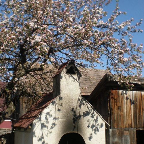 Pensiunea Fehér Akác Lăzărești – Lăzărești, România