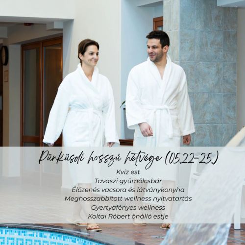 Aranyhomok Hotel Business & Relax Kecskemét