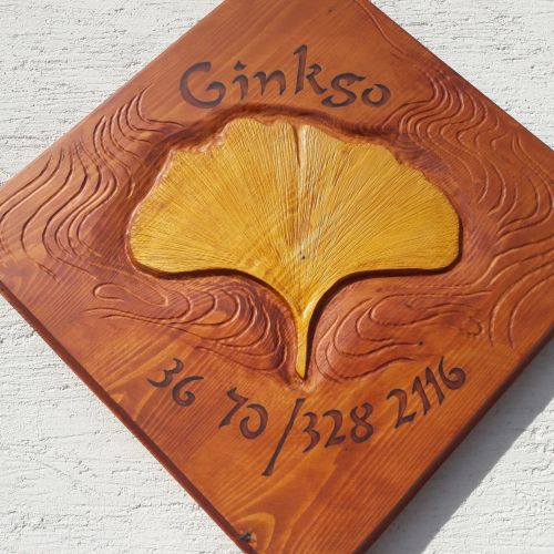 Ginkgo Vendégház Demjén – Demjén, Ungaria