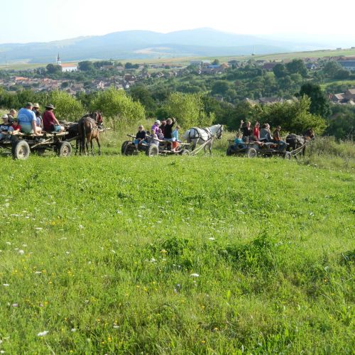 Pensiunea Gyöngyvirág Lupeni – Lupeni, România