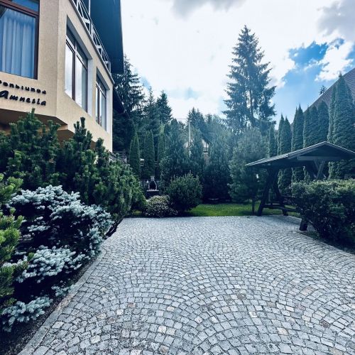 Pensiunea Amnesia Sovata – Sovata, România