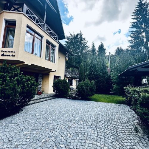 Pensiunea Amnesia Sovata – Sovata, România